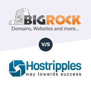 BigRock vs Hostripples