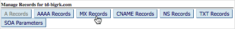 Click on the MX record tab