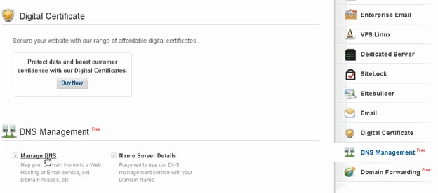 DNS management option