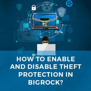 How To Enable and Disable Theft Protection in BigRock?