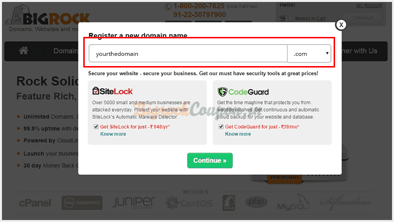 registered domain name