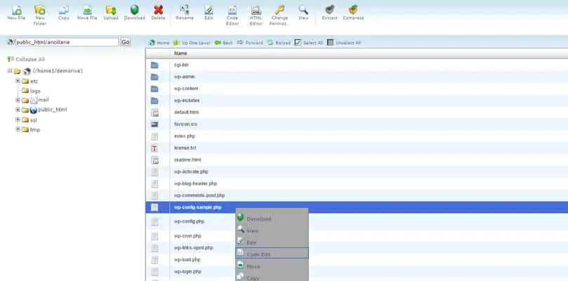 cPanel edit wp-config.php