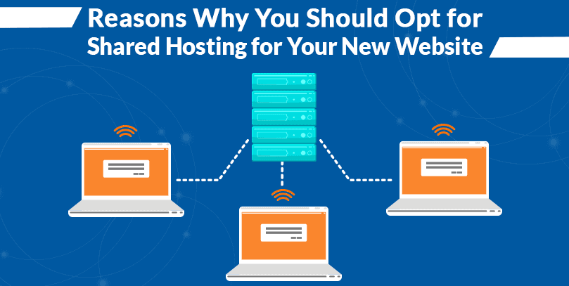 Why You Should Opt for Shared Hosting